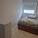 Seckbach בית הארחה 3*